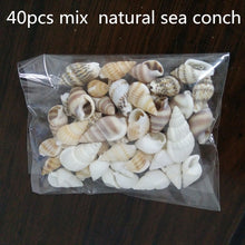 Load image into Gallery viewer, 40pcs Beautiful Beach Mixed Sea Shell Real Sea Shell Mix Sea Shell Starfishes Shells Craft SeaShell Aquarium Decal Decor Crafts