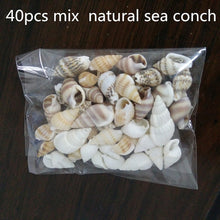 Load image into Gallery viewer, 40pcs Beautiful Beach Mixed Sea Shell Real Sea Shell Mix Sea Shell Starfishes Shells Craft SeaShell Aquarium Decal Decor Crafts